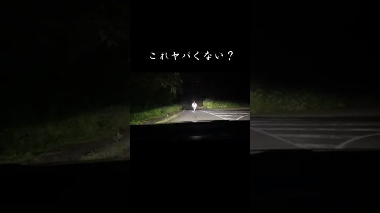 心霊スポットの帰り道(閲覧注意)