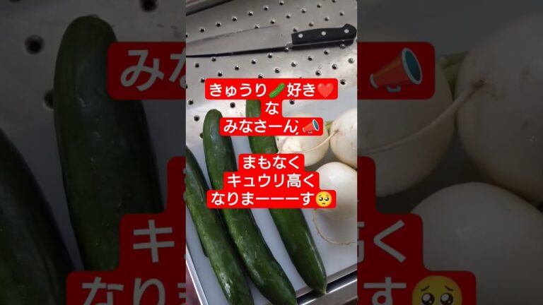 【猛暑☀野菜高騰🥒端境期】太陽の陽差し浴びた夏野菜十分味わましたか？農家さんは秋野菜準備になり、市場は野菜不足になります😸💖旬を味わう#暮らし #家庭菜園#家計管理 #買い物#子育て#野菜#好き嫌い