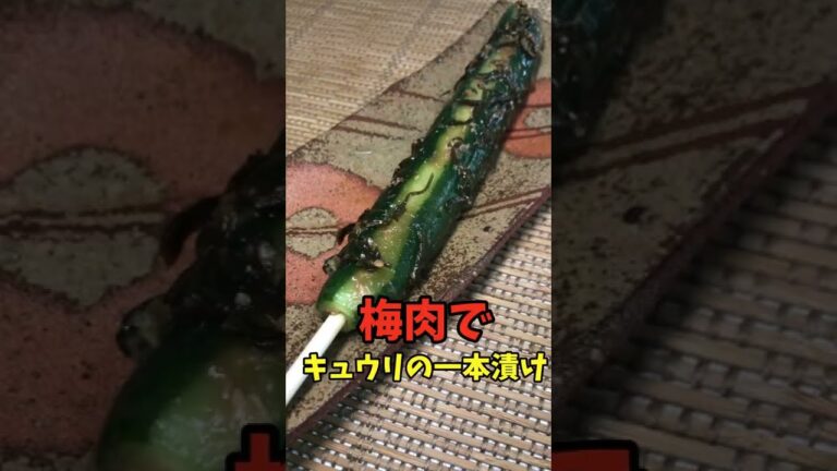 梅肉できゅうりの一本漬け　暑い時にこれが最高に美味い👍