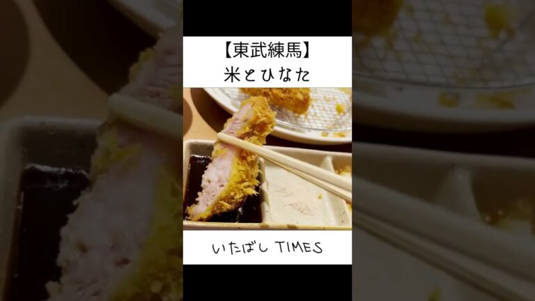 東武練馬の激ウマとんかつ【米とひなた】#shorts
