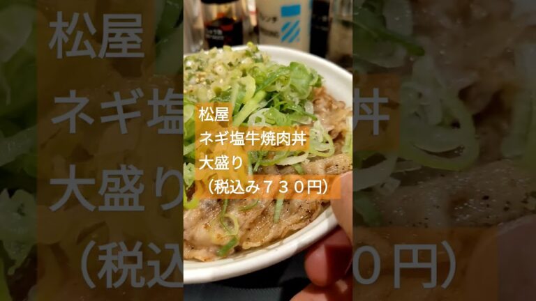 松屋　ネギ塩牛焼肉丼（税込み７３０円）