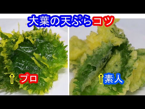 【大葉の天ぷら】綺麗に上げる揚げ方のコツと色々な上げ方数種類
