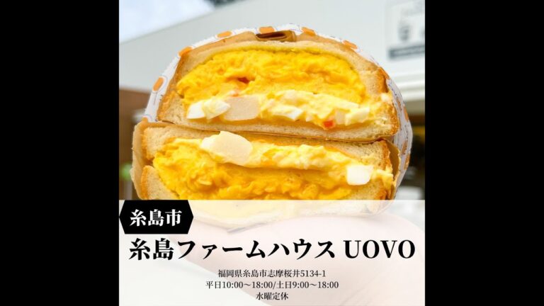 Fukuoka 福岡グルメ　ふわふわぷるぷる 幸せたまごサンド【糸島ファームハウス UOVO】#福岡グルメ #福岡観光 #Short #たまごサンド #ふわふわ