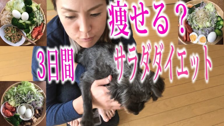【ダイエット】サラダだけで３日間過ごすと何kg痩せるのか？？やってみた【本当に痩せるダイエット】