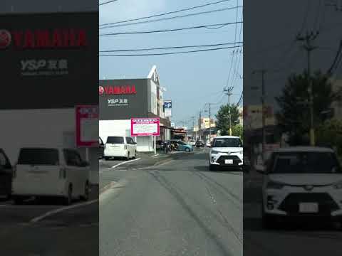 【閲覧注意】死亡事故【衝撃映像】