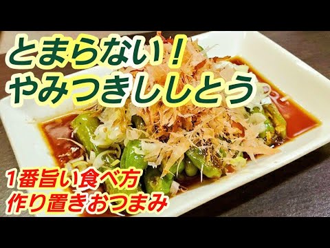 【やみつきししとう】とまらない！これが1番美味しい獅子唐の食べ方！作り置き/常備菜/副菜/簡単節約レシピ/おつまみ/夏野菜/免疫力アップ/美肌健康/疲労回復