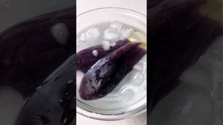 超簡単‼︎レンジ蒸し茄子の麺つゆ漬け