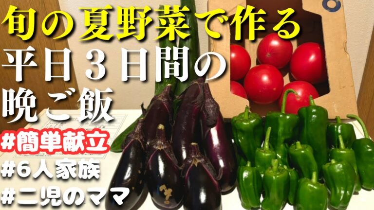 【３日間の夕飯】旬の夏野菜で作るさっぱり献立で平日３日間の晩ご飯レシピ【主婦の夜ご飯】
