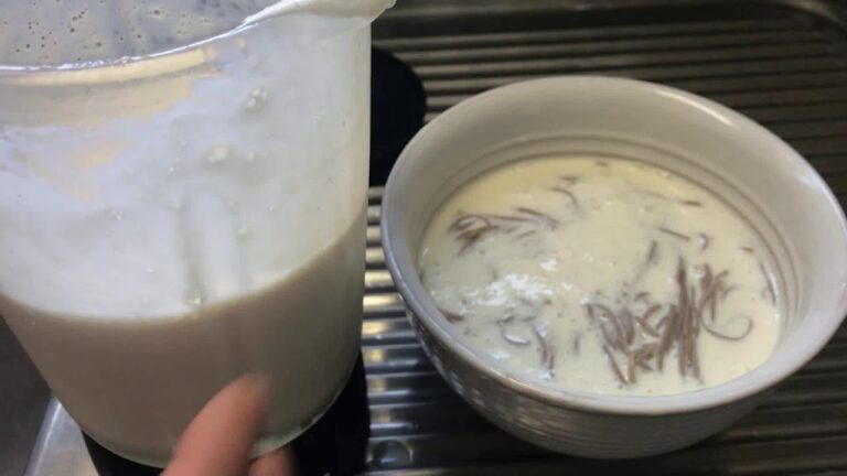 韓国料理  豆乳豆腐を利用して簡単に作るクールコングクス(豆乳素麺)