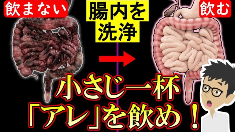 おならが臭い・多い人も見て！腸活に良い飲み物・食べ物4選【腸内環境｜菌｜屁｜腹｜オナラが止まらない｜便通改善】便秘も解消