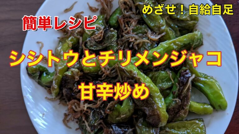 シシトウとチリメンジャコの甘辛炒め　簡単レシピ　めざせ！自給自足