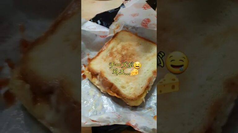 [韓国在住主婦]屋台で売ってるトースト安くて美味しいやつ😋포장마차에서 파는 토스트 꿀맛💫