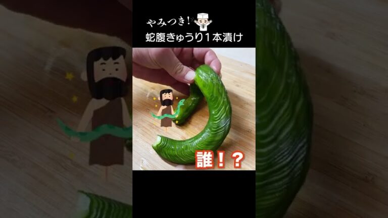 必見プロの技！マジで蛇腹なおつまみ「蛇腹きゅうり」#shorts   #きゅうり #蛇腹きゅうり