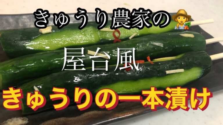 【きゅうりの一本漬け】一瞬で無くなる美味しさ！祭り気分になれる簡単一本漬け🥒