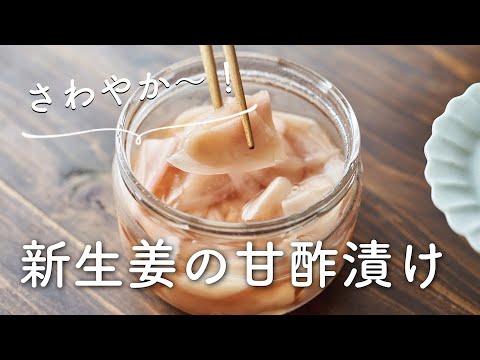 【さわやか〜！常備したい！】新生姜甘酢漬けのレシピ・作り方