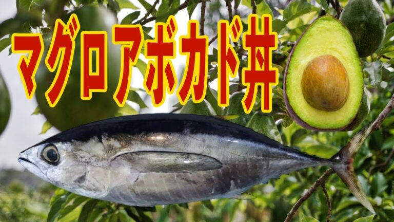 定番 マグロアボカド丼 切って載せるだけ