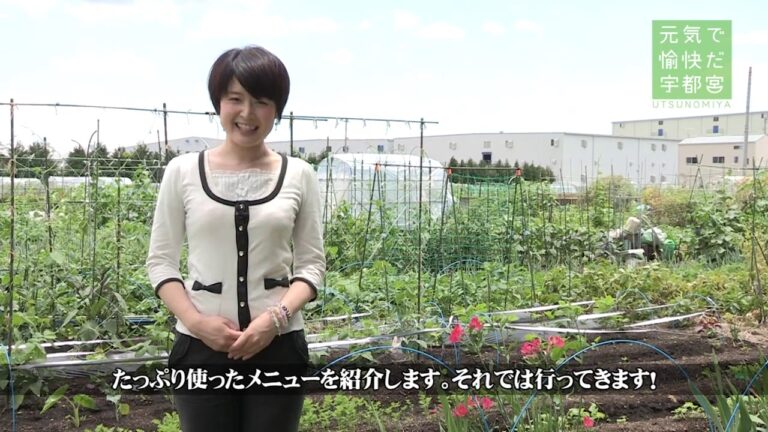 【宇都宮市】食丸くん指南書　ロースト夏野菜たっぷりチキンカレー