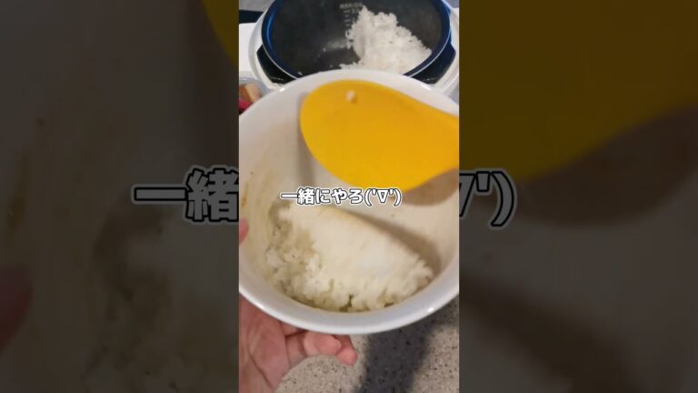 【自炊日記】夫のためにおにぎりの作り置きつくった記録('∇')　【おうちごはんvlog】 #shorts