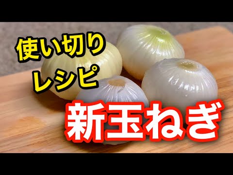 【新玉ねぎ】４個食べきり！シャキッと美味しい【簡単レシピ４品】