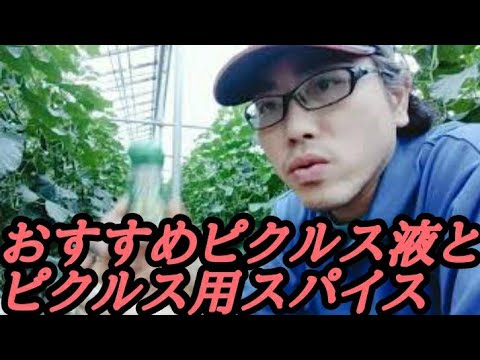 【きゅうり農家】おすすめ簡単ピクルス液紹介【オタフク】