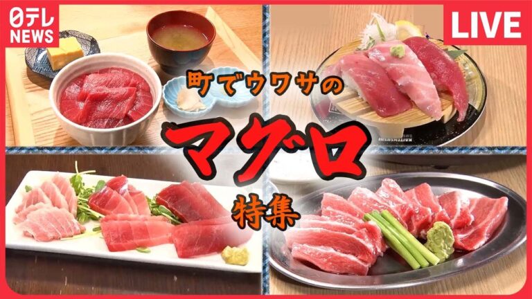 【マグロ大集合】魚市場でマグロ食べ放題/国産本マグロ中トロ握り/マグロ料理専門の鉄火丼　など