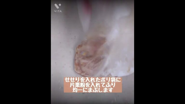 鶏のせせりと根野菜の黒酢炒め