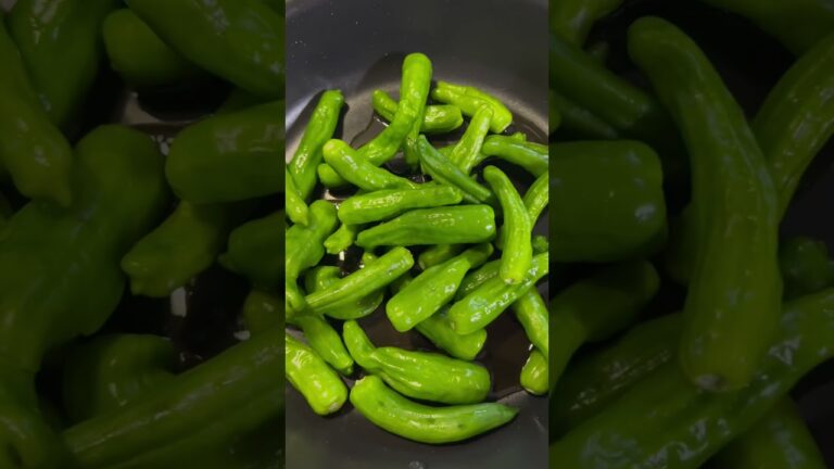 ご飯が進む！ししとう料理 常備菜にもぴったりです #shorts #簡単レシピ