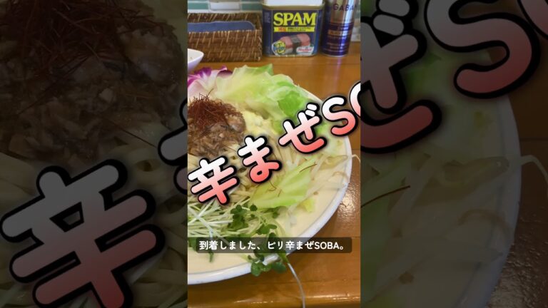 【麺屋Hulu-lu】ラーメン激戦区池袋代表　#池袋西口 #グルメ #japanesefood #ランチ