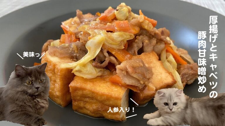 厚揚げとキャベツの豚肉味噌炒めwith cats