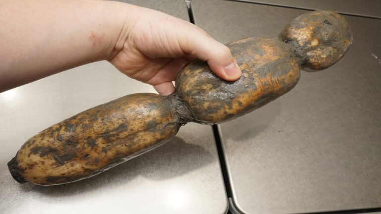 蓮根の甘酢漬け（酢れんこん）正月料理の「おせち」にも使える縁起の良い一品