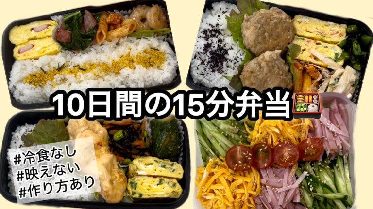 10日間の毎日15分弁当🍱冷食なし、作り方あり