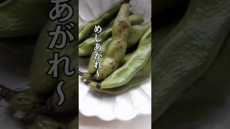 焼きそら豆 薬膳レシピ 簡単 焼くだけ