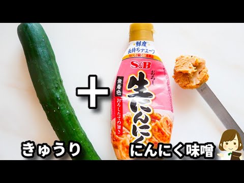 ポリ袋に入れて漬けるだけなのに、マジで美味しすぎてポリポリ止まらない...！『きゅうりのにんにく味噌漬け』の作り方Cucumber with Miso and Garlic