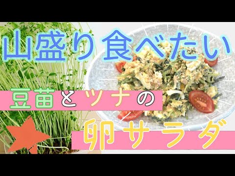 【豆苗活用レシピ】副菜にしておくのもったいない　めちゃウマ　豆苗とツナの卵サラダ