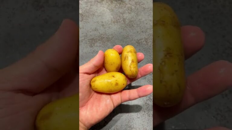 【これ食って10kg痩せた】とりあえずこれ作って食っとけ。新玉ねぎの明太マヨ炒めと明太子ポテトサラダ！
