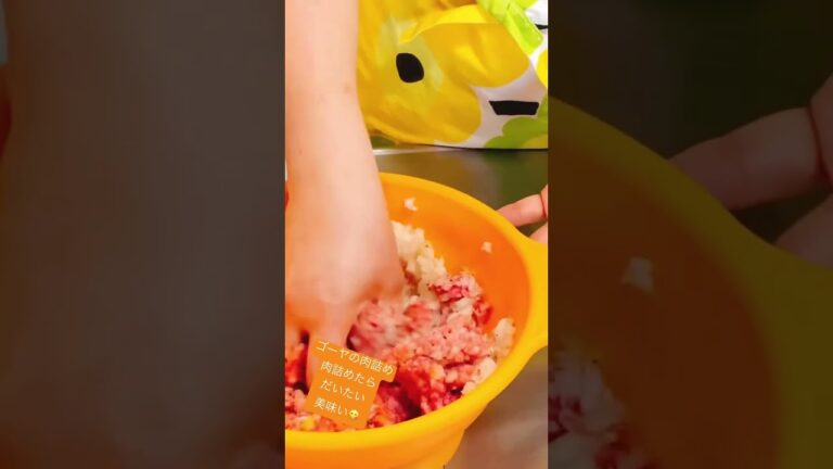 ゴーヤの肉詰め