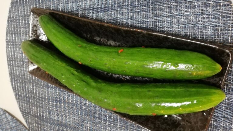 超簡単！きゅうりの一本漬け#shots