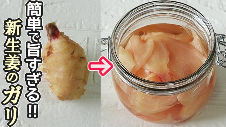砂糖少なく激うま「新しょうがの甘酢漬け(ガリ)」半日漬けるだけ！アレンジレシピも紹介！