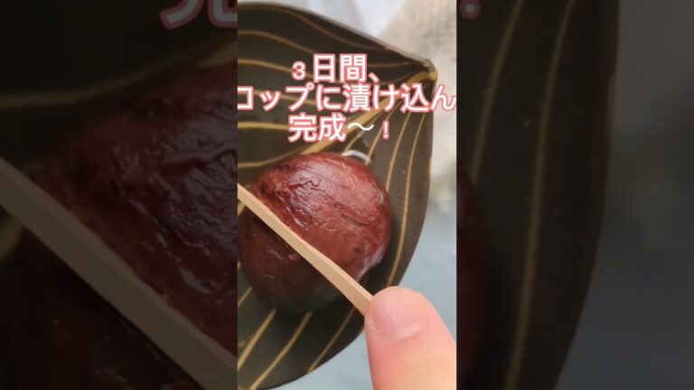 栗の渋皮煮　６時間と３日間で完成！