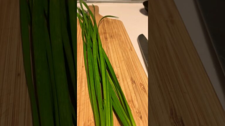 ニラにめんどくさい事はしない#おつまみ #チヂミ#shorts