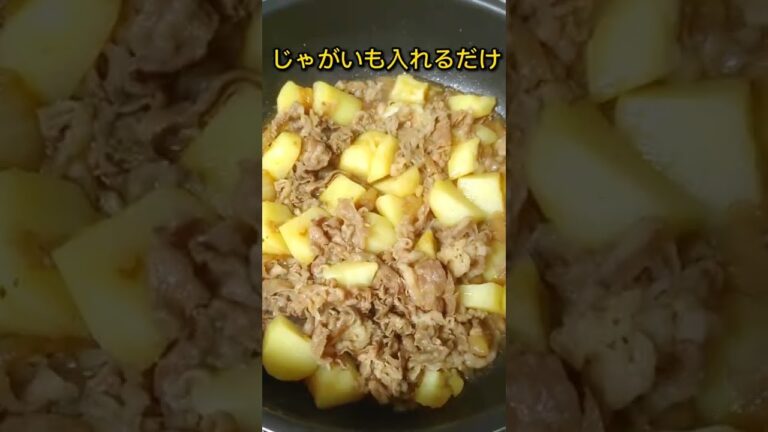 【超手抜き】吉野家牛皿汁だく肉じゃが【時短ズボラ飯】
