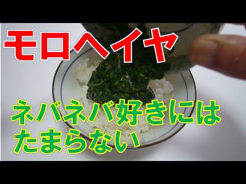 モロヘイヤ 【ネバネバ好き必見！】