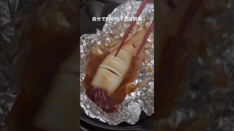 イカをバター醤油でホイル焼き🦑 シンプルで激ウマ。 #shorts #short #イカ #ヤリイカ #ホイル焼き #キャンプ飯 #ホットサンドメーカー