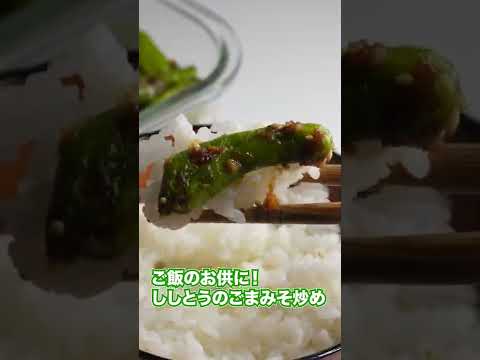 ご飯のお供に🍚ししとうのごまみそ炒め　レシピは説明欄に😉