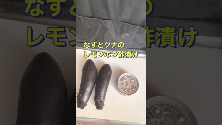 さっぱり美味しい❗【なすとツナのレモンポン酢漬け】#Shorts #ひめりんご