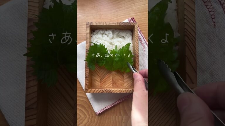 ズッキーニのはさみ焼きのお弁当 #お弁当 #お弁当作り #お弁当おかず #obento #お弁当記録 #お弁当動画 #お弁当詰め方 #レシピ動画 #夏野菜