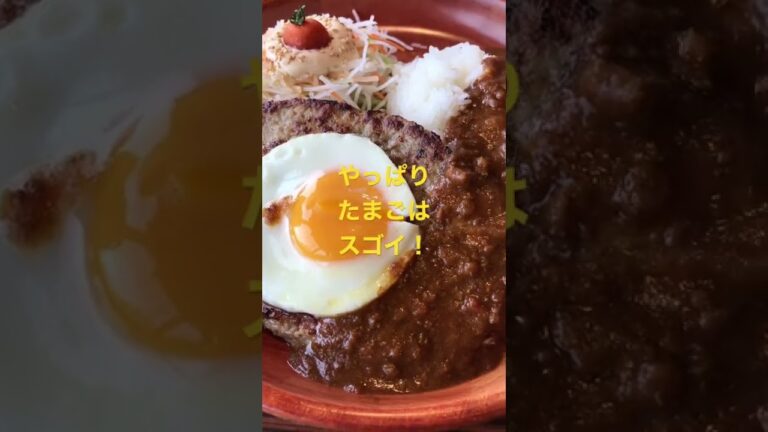 【びっくりドンキー】いつも迷うのは、カレーバーグディッシュかチーズフォンデュバーグ😆 #shorts