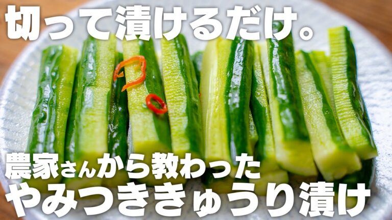 【5分で作れる】これ最高…！安くて簡単で美味しい、やみつききゅうり漬け【きゅうり消費 / きゅうりの浅漬け】