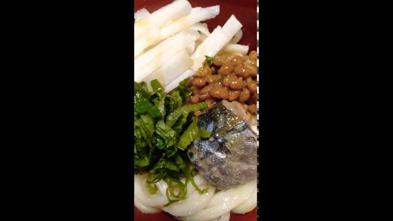 #192 大葉+鯖+納豆+大根+うどん