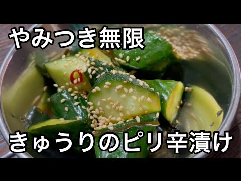 やみつき無限きゅうり ピリ辛漬け 作り置きレシピ